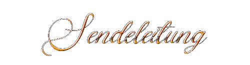 Sendeleitung